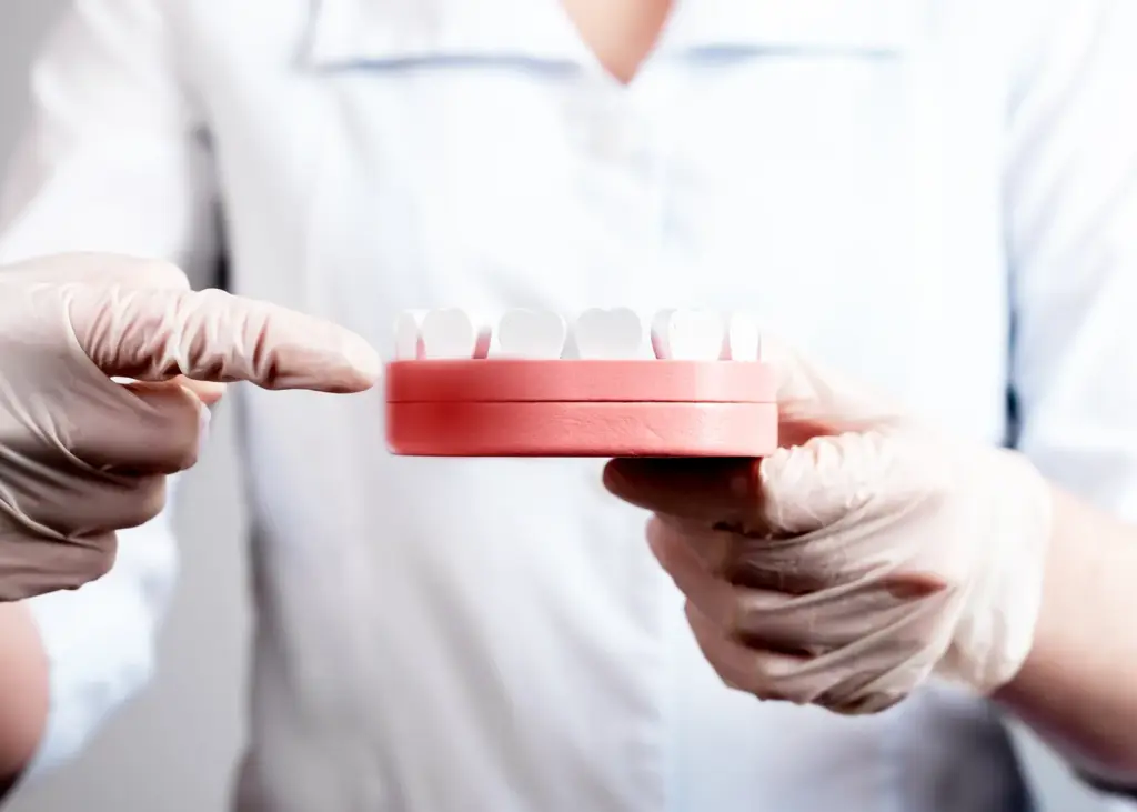 A dentist pointing to inflamed gums on a model of a jaw